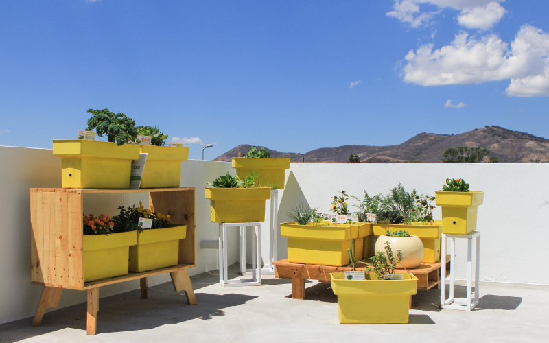 3 proyectos inmobiliarios para invertir en Guadalajara